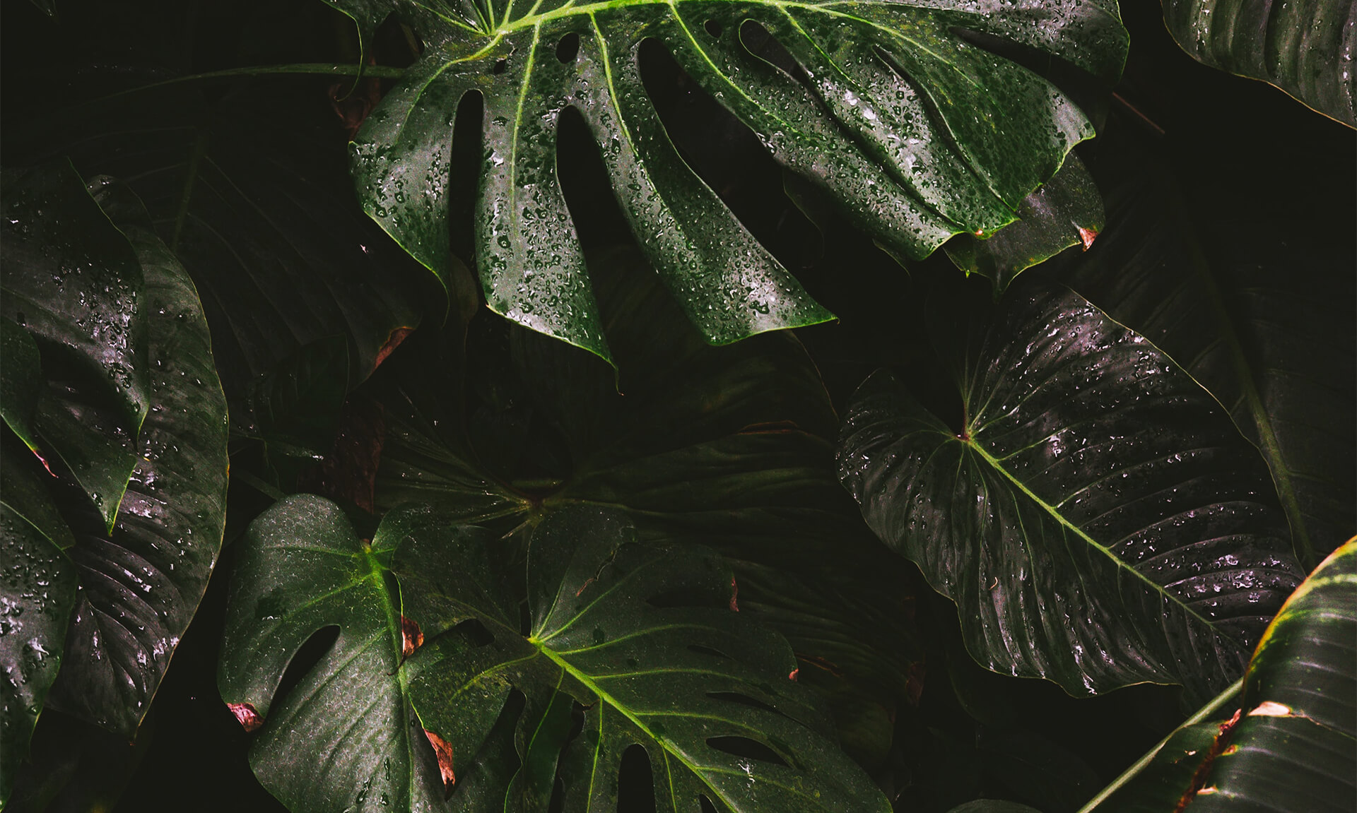 About The Property Bloomfield Gardens Apartments