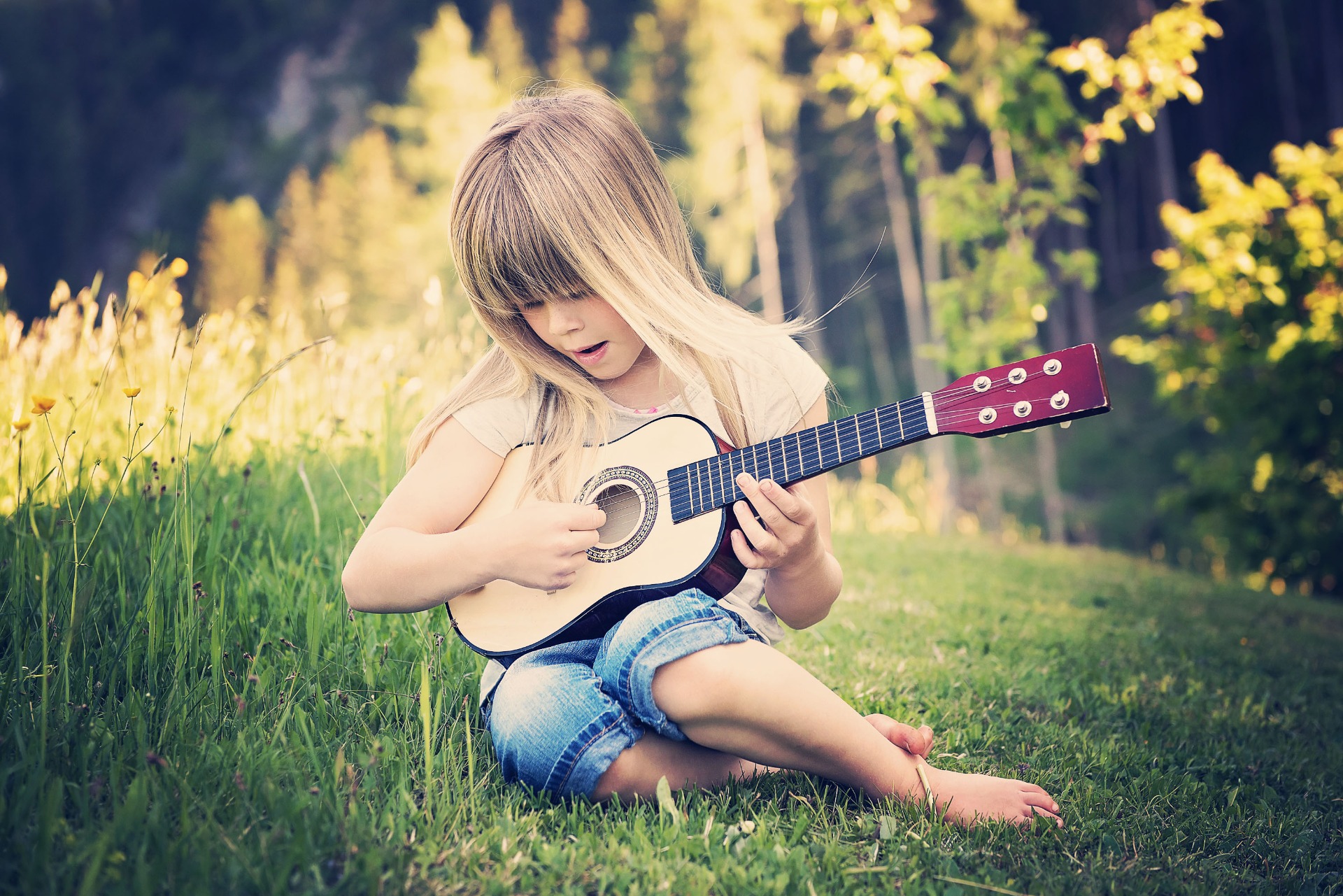 以家庭為中心之研習會-音樂治療於早期療育之應用                                                     