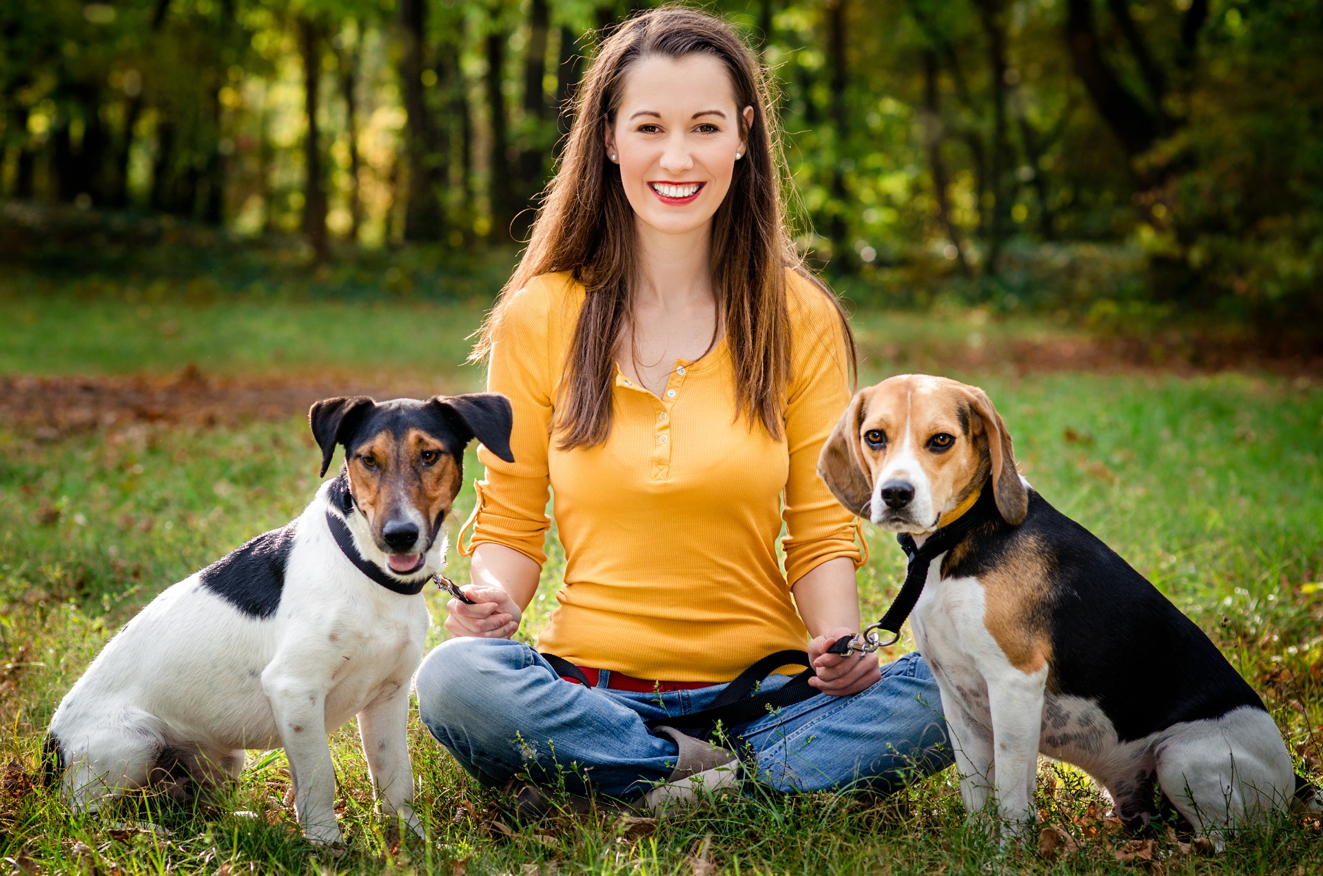 are treeing walker coonhound hypoallergenic